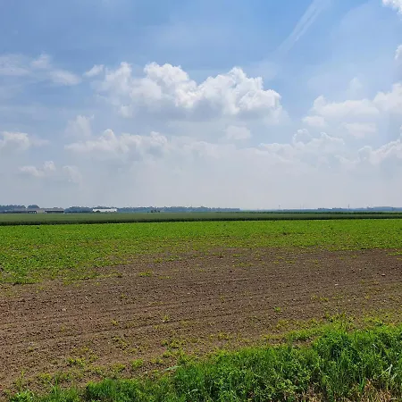 De Hoeksche Loods