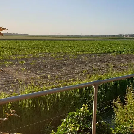 De Hoeksche Loods Zuid-Beijerland